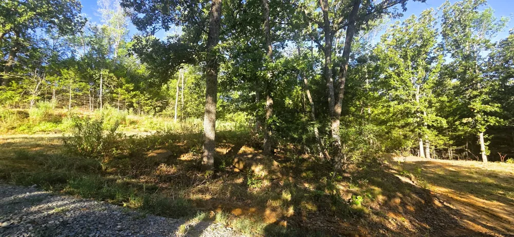 4273 Sawmill Road Caddo, OK 74729