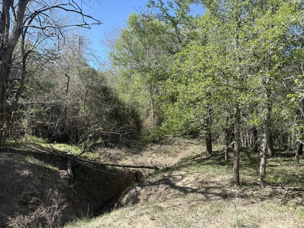 ANCHOR RANCH LOOP Flatonia, TX 78941