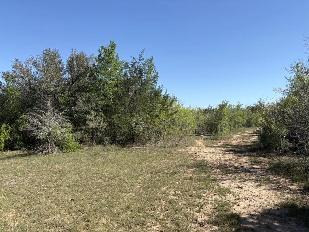 ANCHOR RANCH LOOP Flatonia, TX 78941