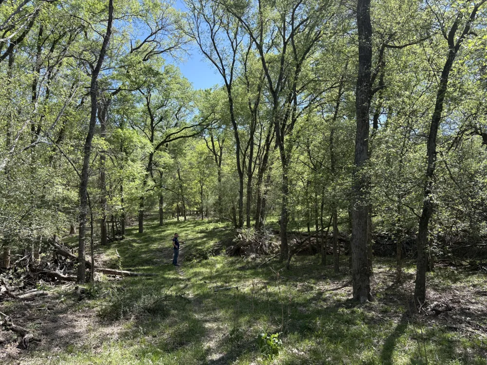 ANCHOR RANCH LOOP Flatonia, TX 78941