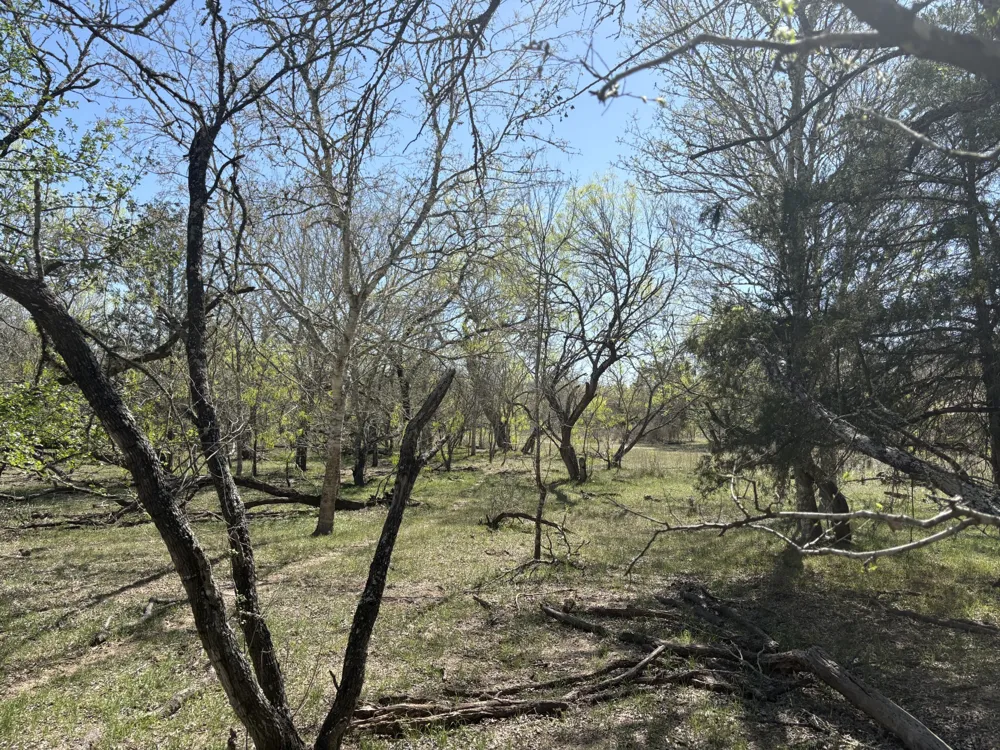 ANCHOR RANCH LOOP Flatonia, TX 78941