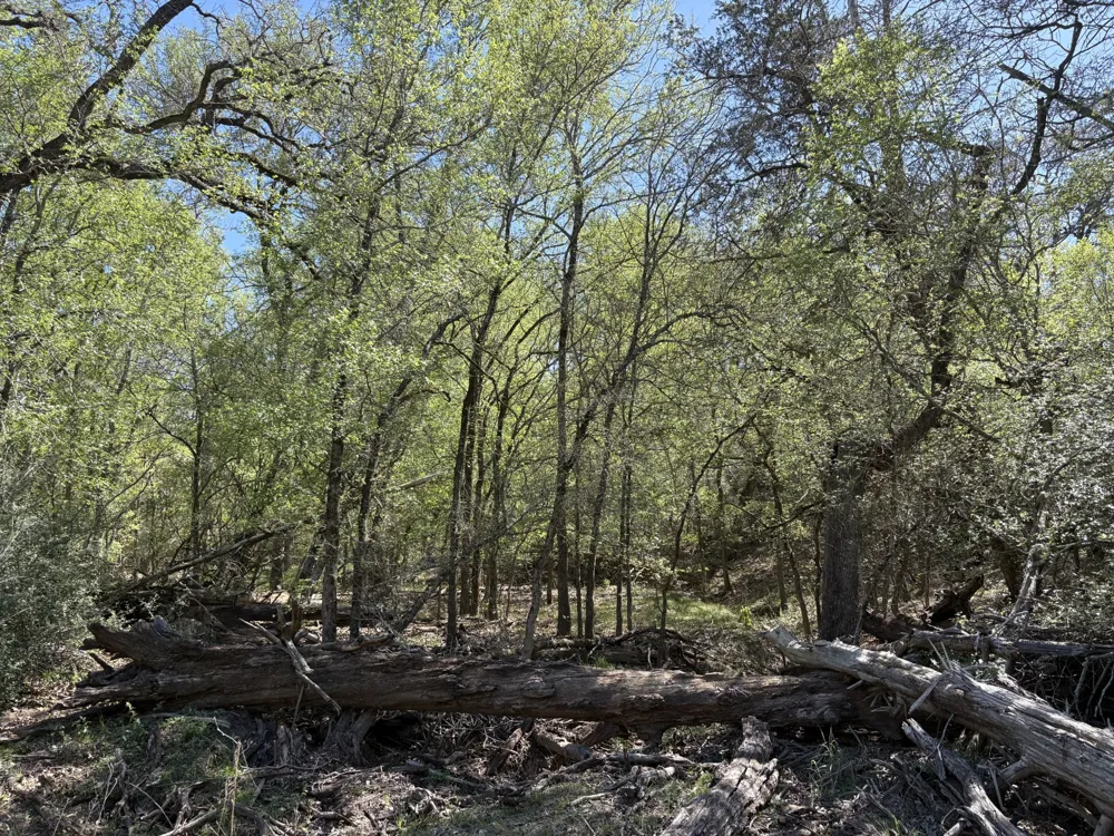ANCHOR RANCH LOOP Flatonia, TX 78941
