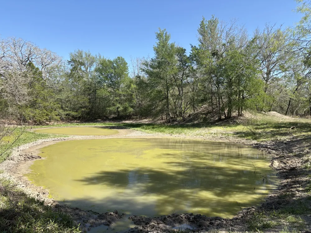 ANCHOR RANCH LOOP Flatonia, TX 78941