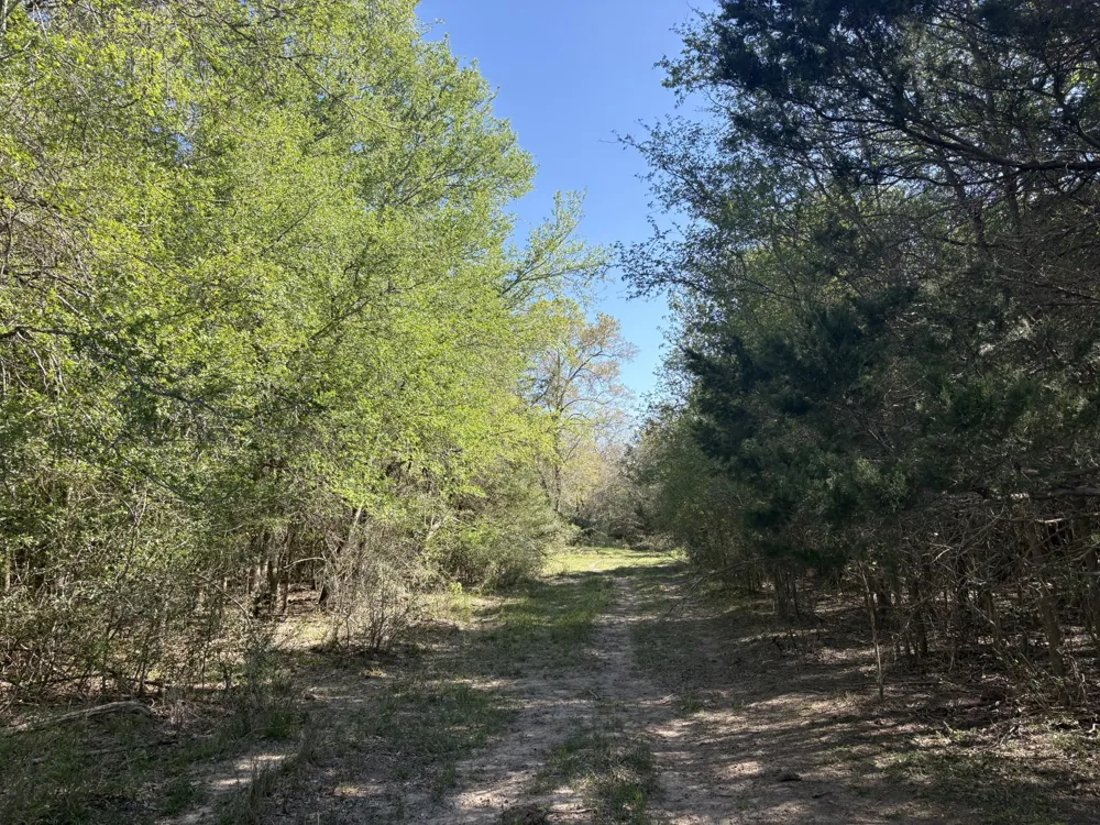 ANCHOR RANCH LOOP Flatonia, TX 78941