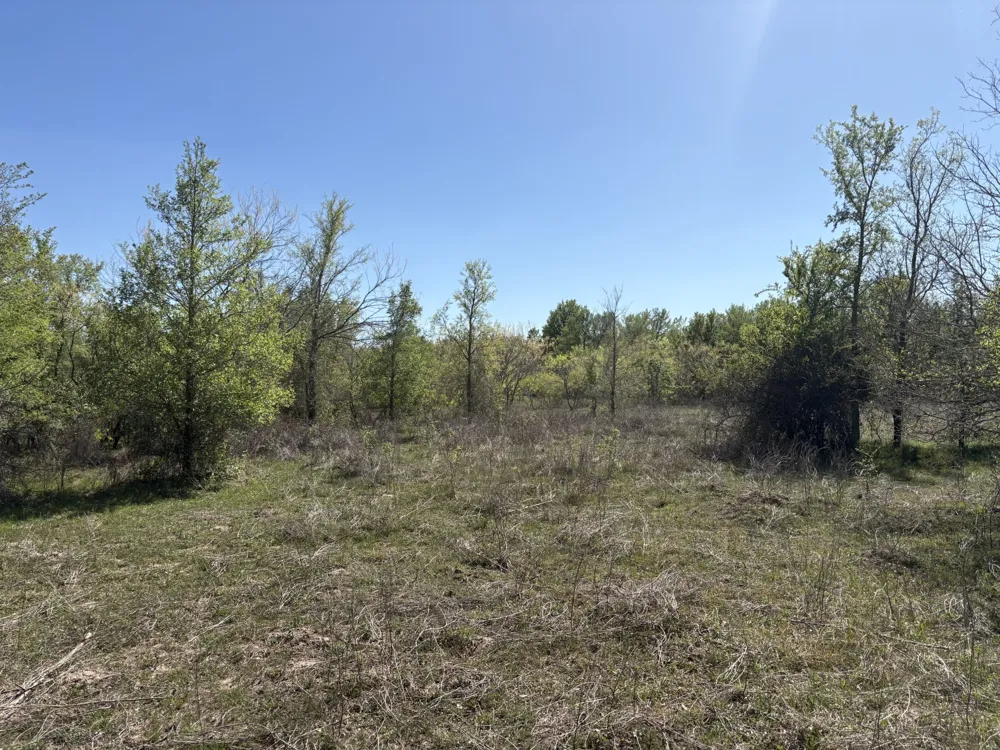 ANCHOR RANCH LOOP Flatonia, TX 78941