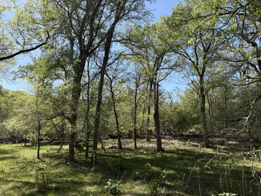 ANCHOR RANCH LOOP Flatonia, TX 78941