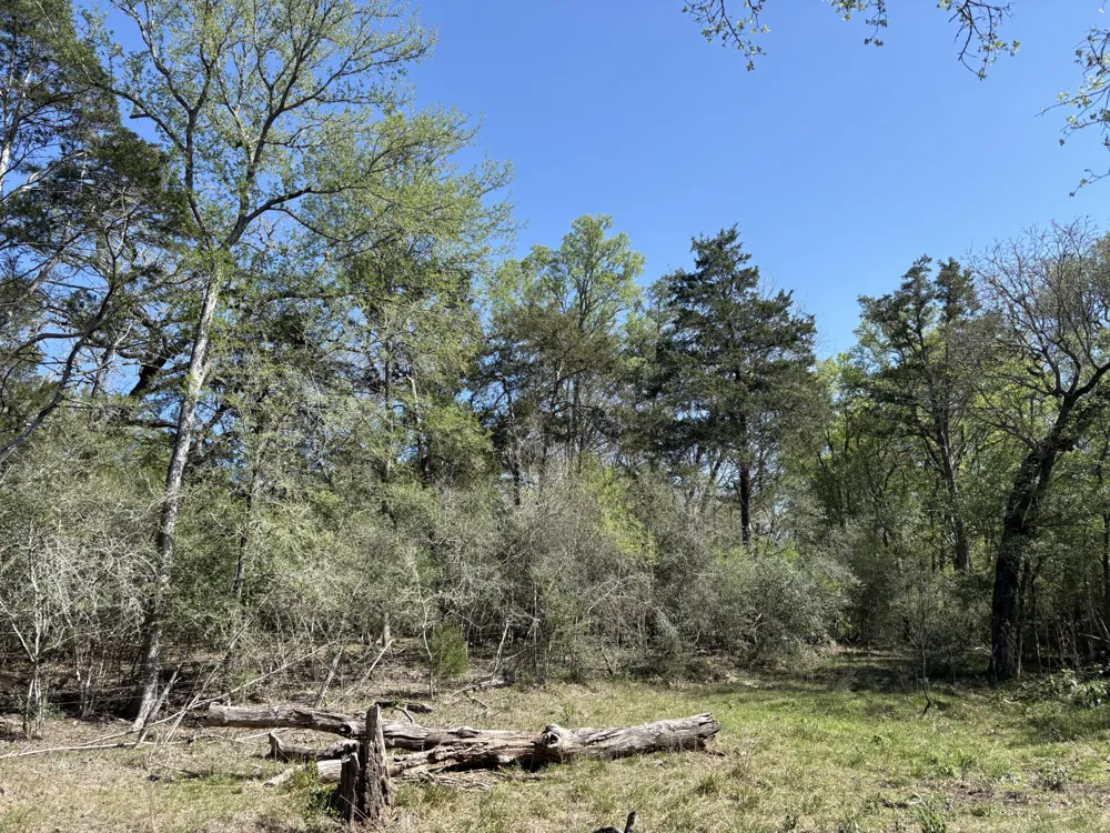 ANCHOR RANCH LOOP Flatonia, TX 78941