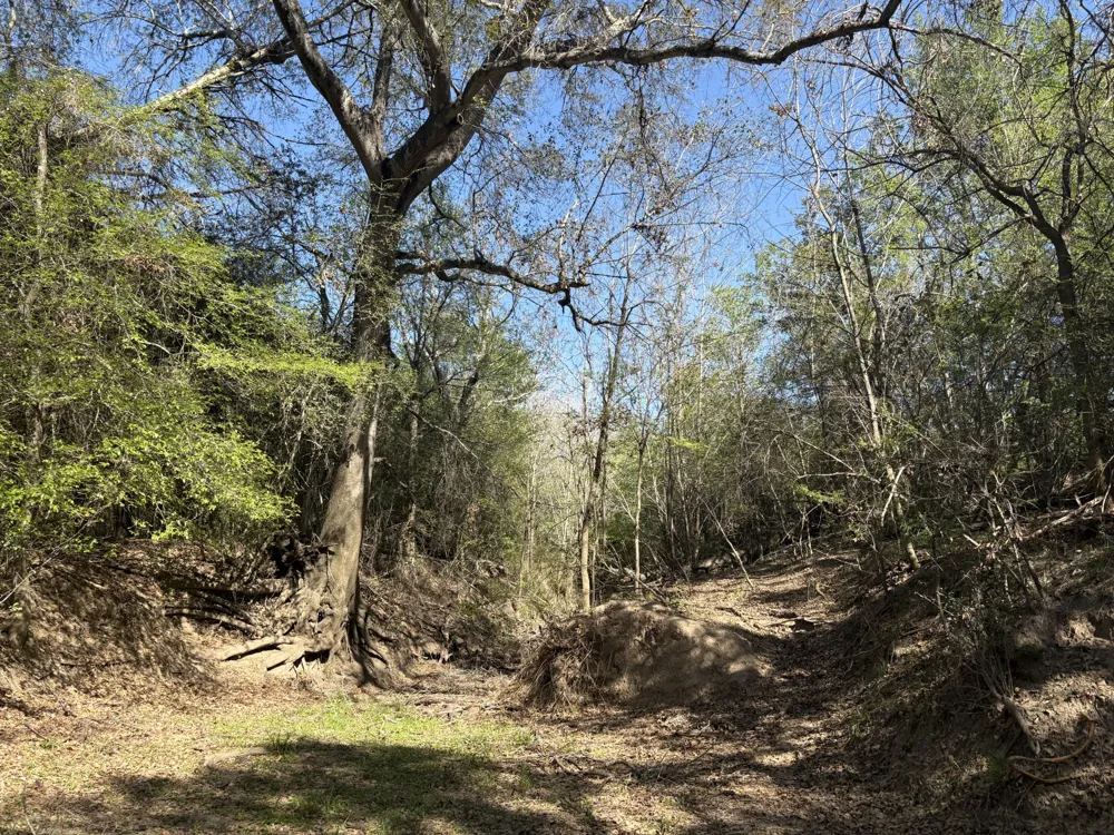 ANCHOR RANCH LOOP Flatonia, TX 78941