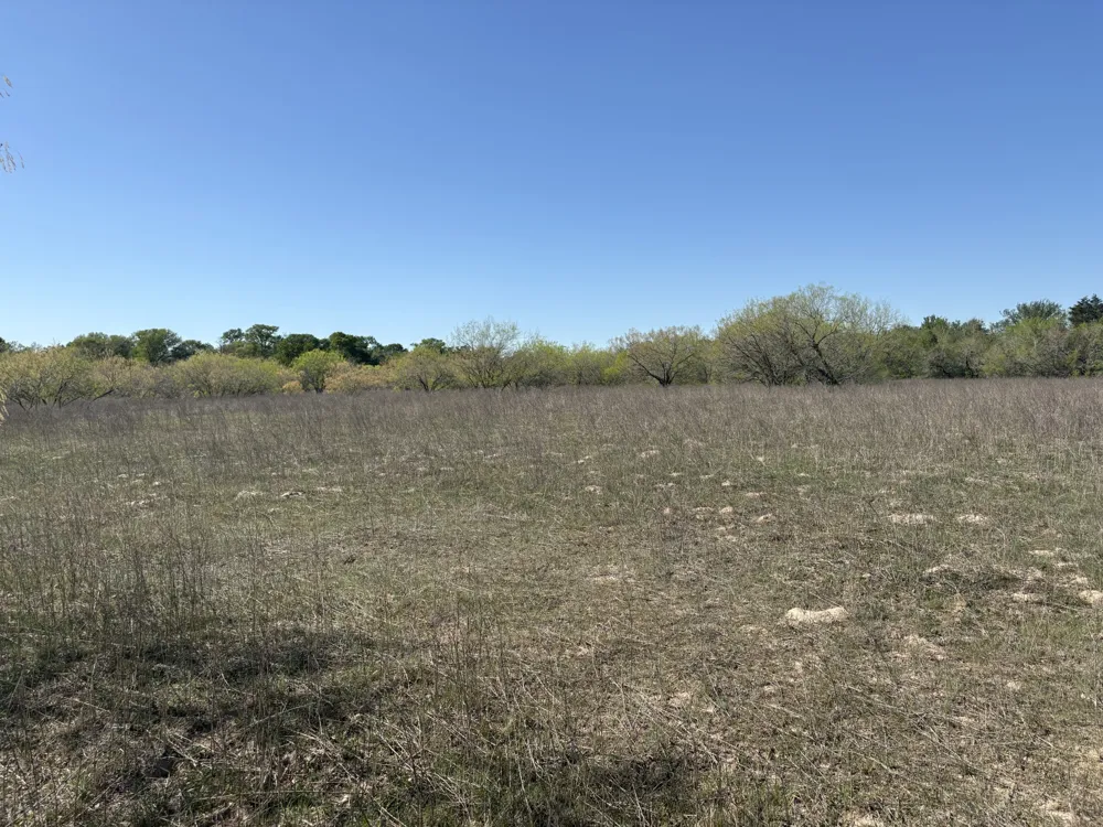ANCHOR RANCH LOOP Flatonia, TX 78941