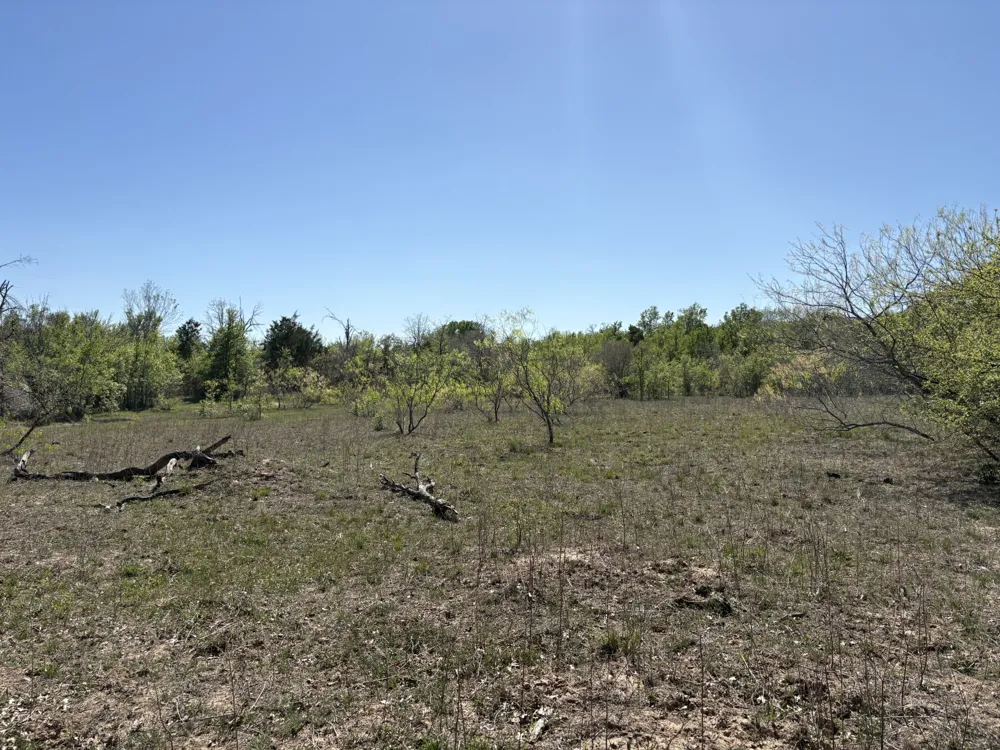 ANCHOR RANCH LOOP Flatonia, TX 78941