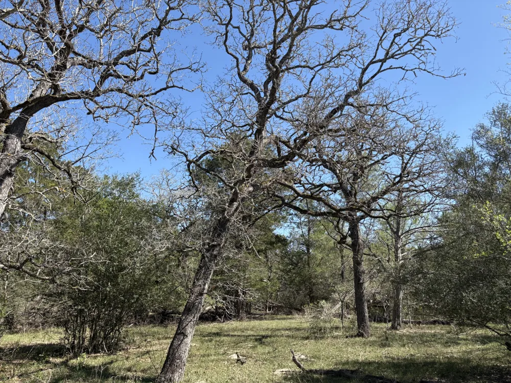 ANCHOR RANCH LOOP Flatonia, TX 78941