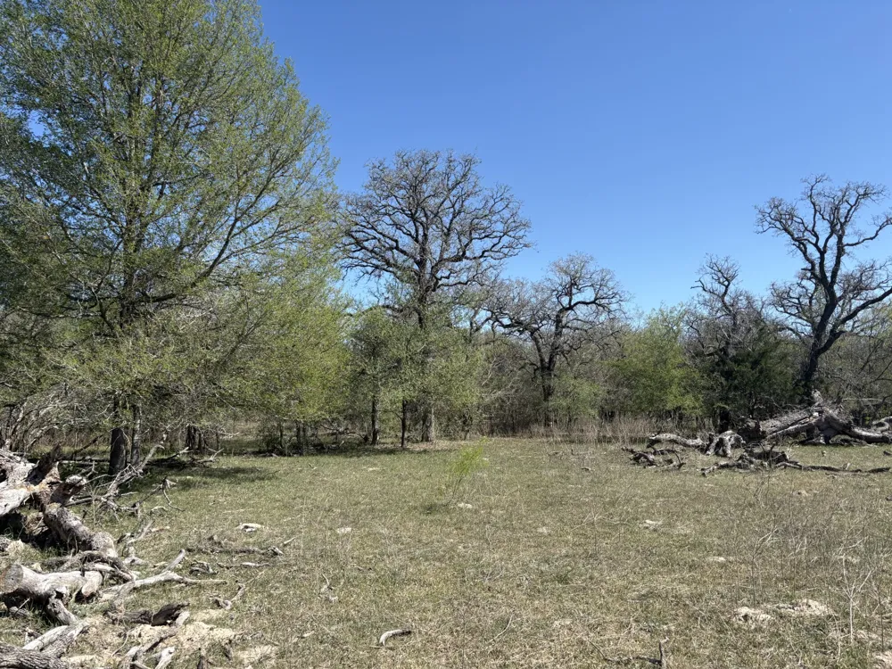 ANCHOR RANCH LOOP Flatonia, TX 78941