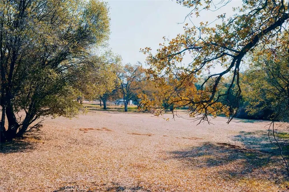 5615 Bear Trap Drive Mariposa, CA 95338