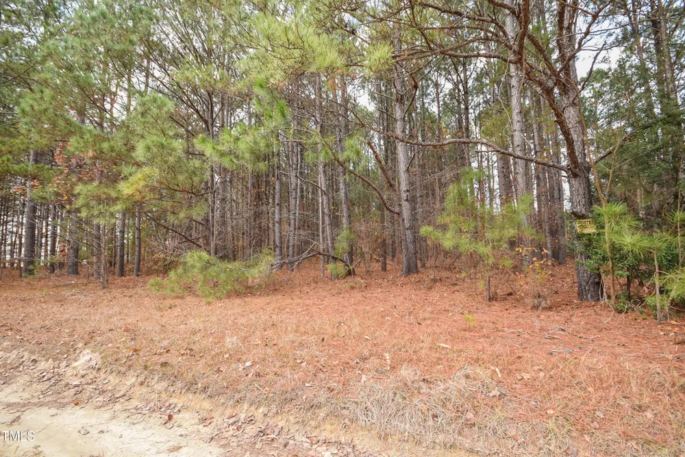 Parcel #3 Bob Lee Lane Dunn, NC 28334
