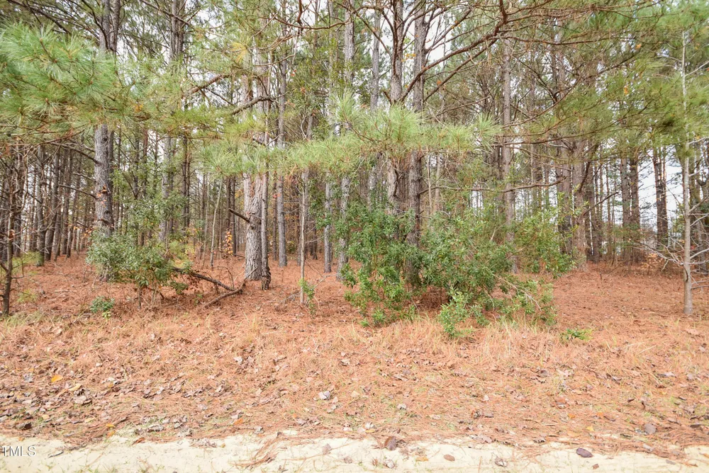 Parcel #3 Bob Lee Lane Dunn, NC 28334