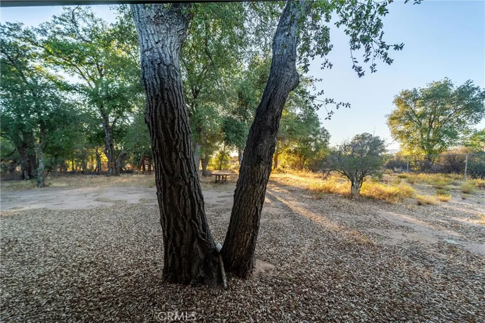 30621 Chihuahua Valley Warner Springs, CA 92086