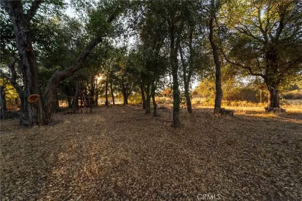 30621 Chihuahua Valley Warner Springs, CA 92086