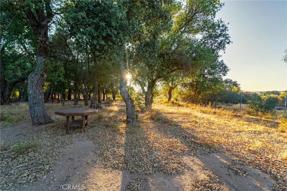30621 Chihuahua Valley Warner Springs, CA 92086