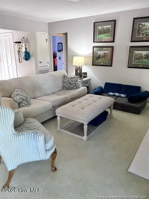 250 Sugar Gum Lane ##252 Pinehurst, NC 28374