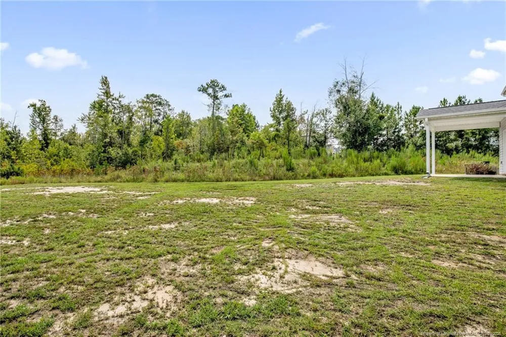 44 Princelet Point Cameron, NC 28326