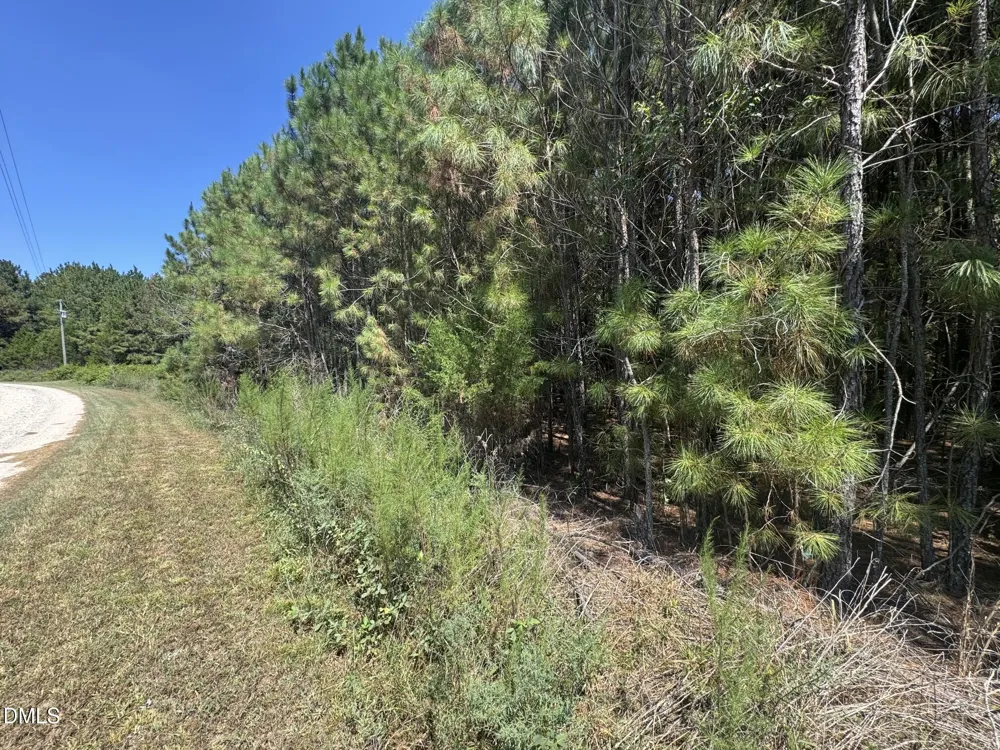 135 Mandolin Way Warrenton, NC 27589