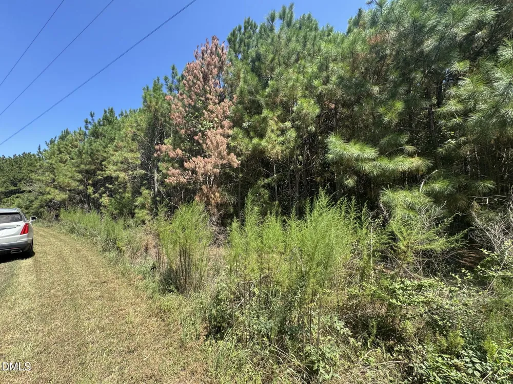 135 Mandolin Way Warrenton, NC 27589