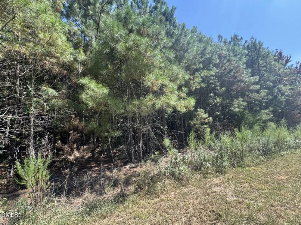 135 Mandolin Way Warrenton, NC 27589