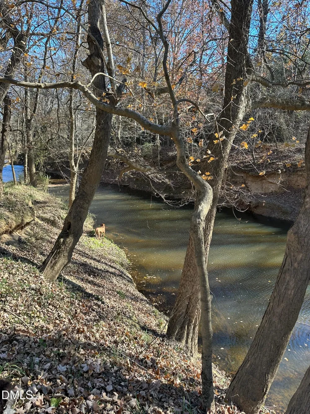 6061 River Run Trail Graham, NC 27253