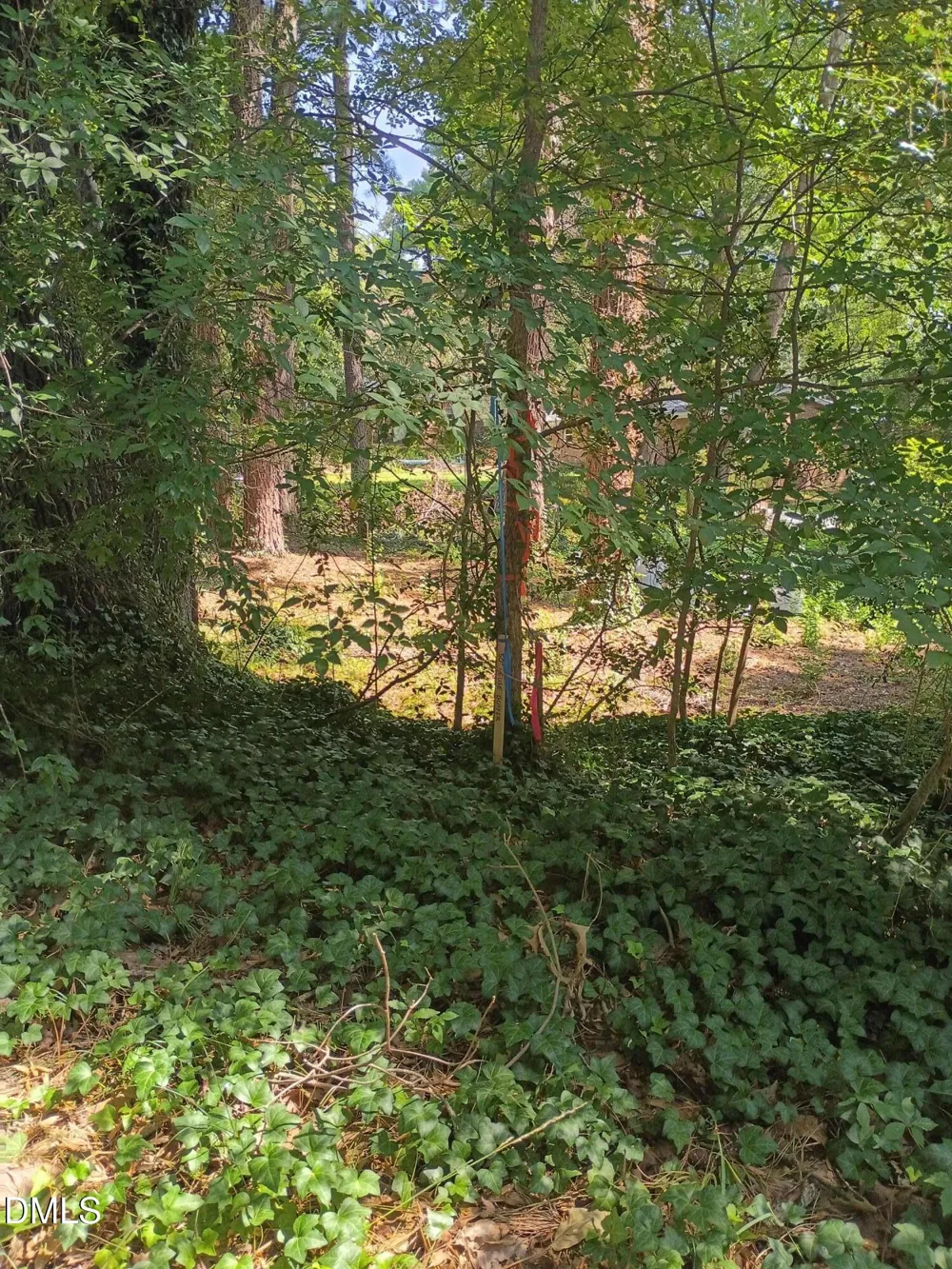 2905 Friar Tuck Road Raleigh, NC 27610