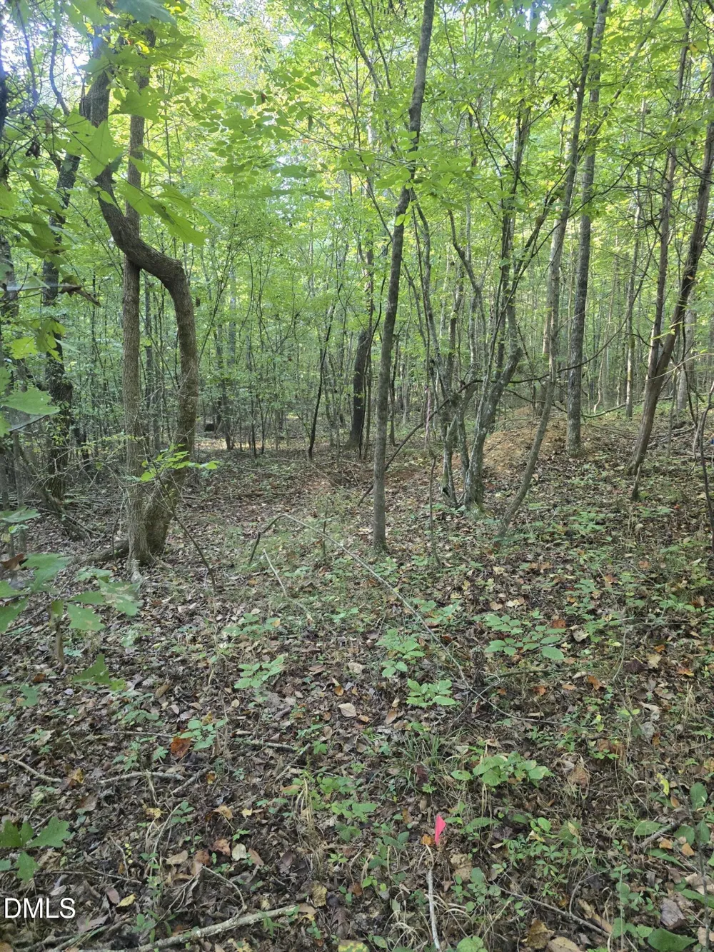 4955 Dailey Store Road Burlington, NC 27217