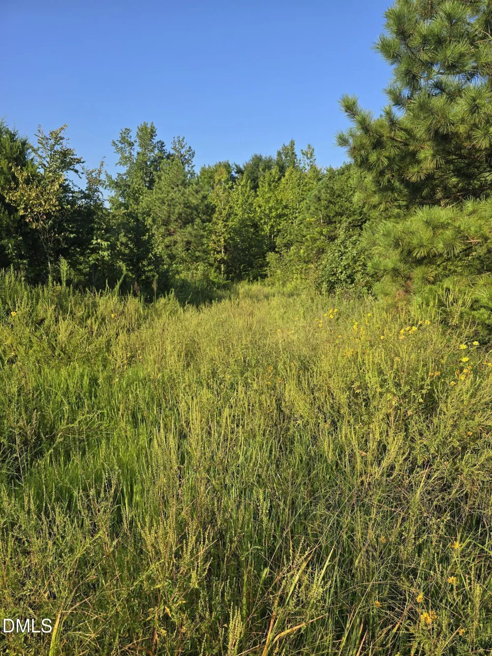 4955 Dailey Store Road Burlington, NC 27217