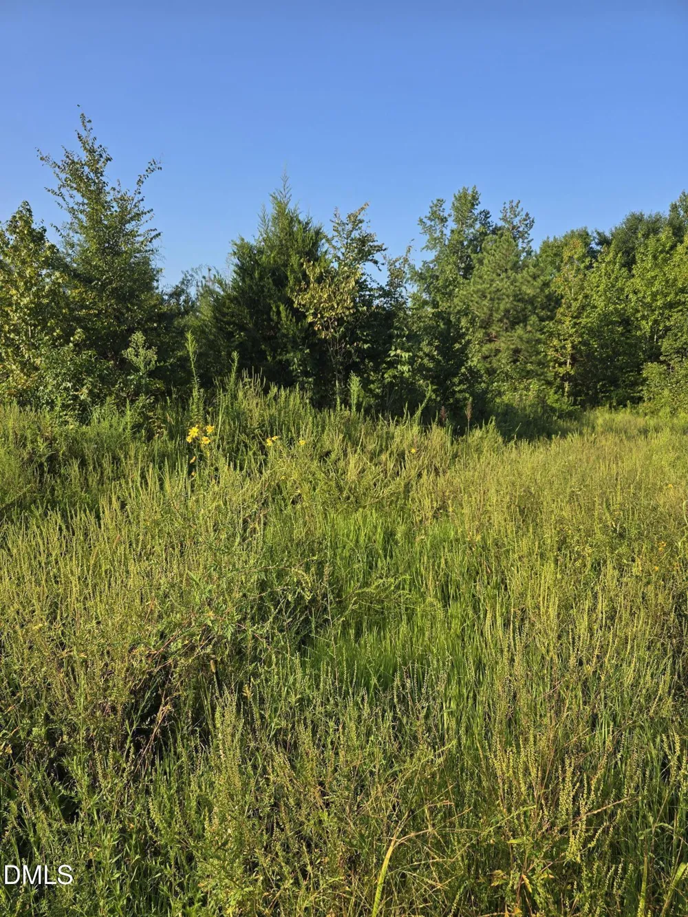 4955 Dailey Store Road Burlington, NC 27217