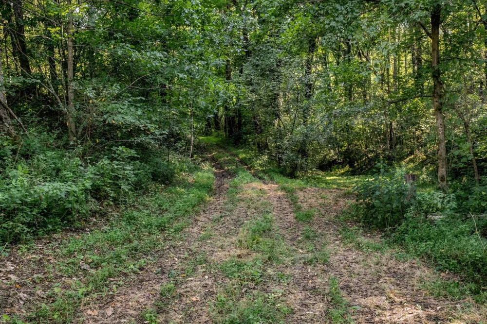 5051 Jones Valley Rd Williamsport, TN 38487
