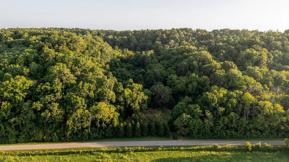 5051 Jones Valley Rd Williamsport, TN 38487