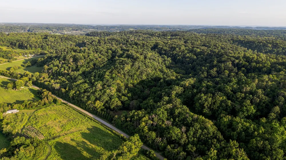 5051 Jones Valley Rd Williamsport, TN 38487