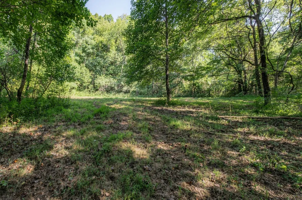 5051 Jones Valley Rd Williamsport, TN 38487