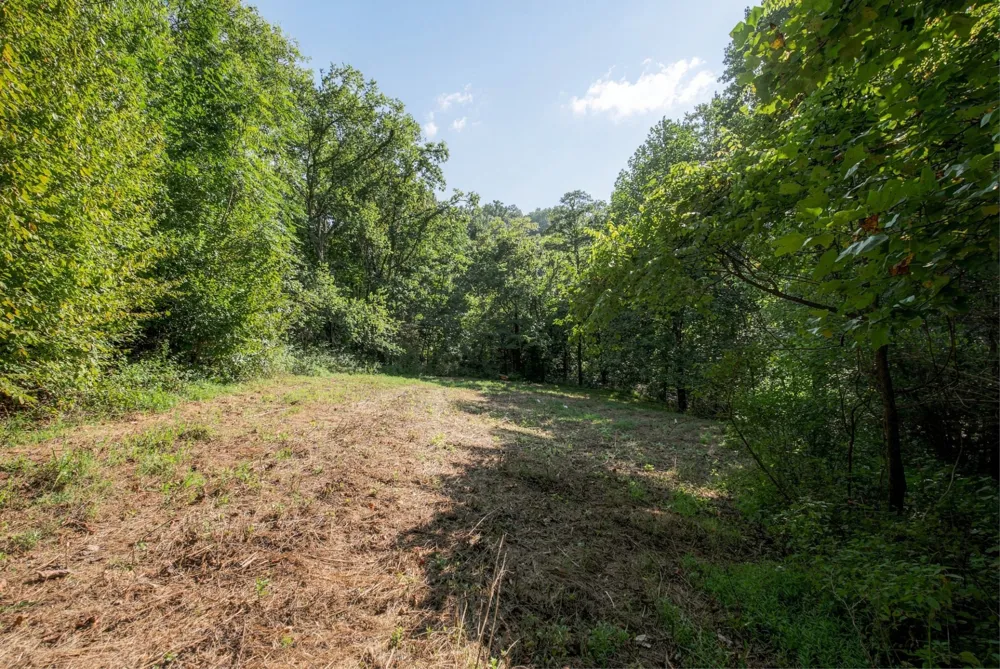 5051 Jones Valley Rd Williamsport, TN 38487