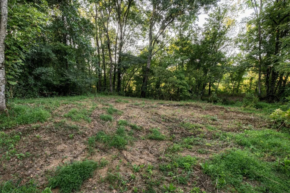 5051 Jones Valley Rd Williamsport, TN 38487
