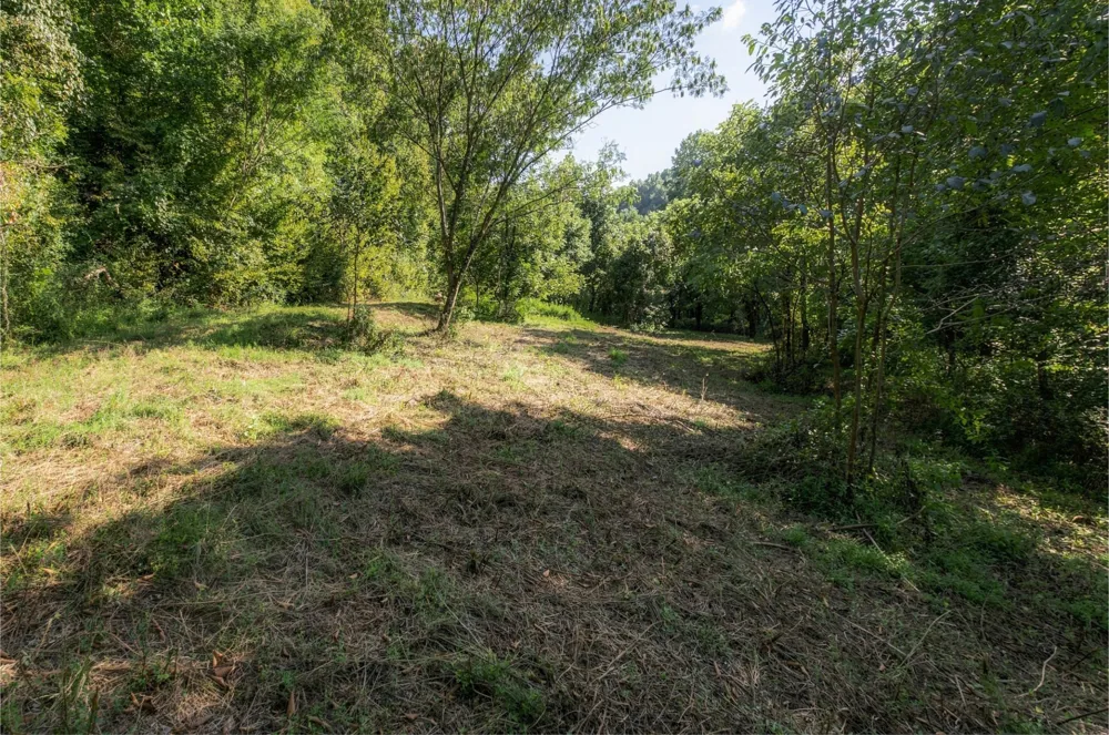 5051 Jones Valley Rd Williamsport, TN 38487