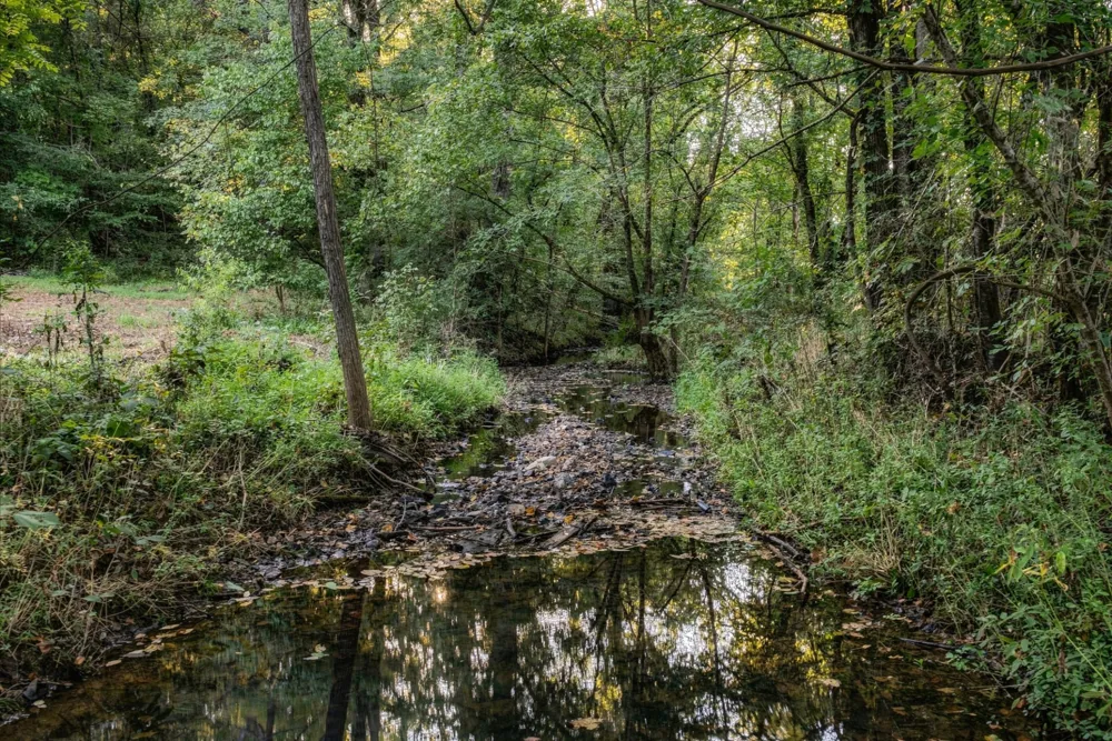 5051 Jones Valley Rd Williamsport, TN 38487