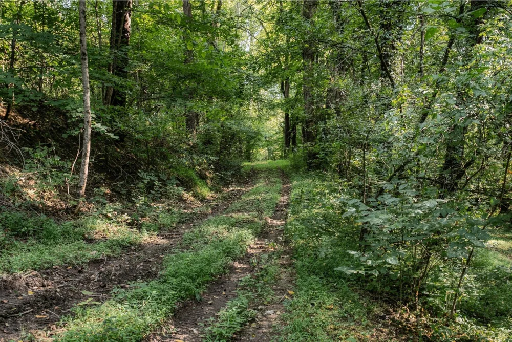 5051 Jones Valley Rd Williamsport, TN 38487