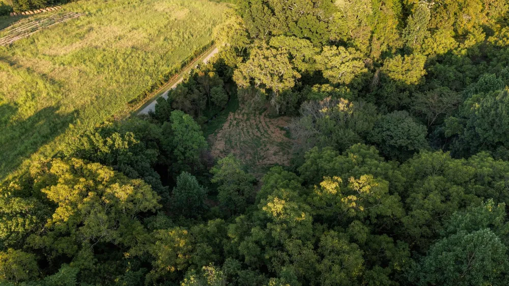 5051 Jones Valley Rd Williamsport, TN 38487
