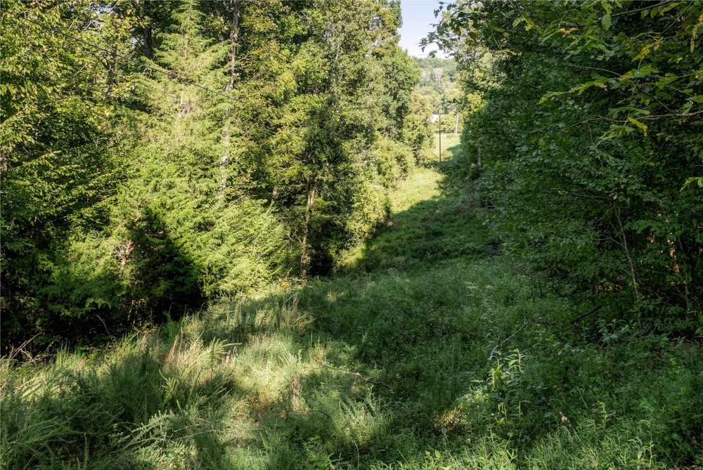5051 Jones Valley Rd Williamsport, TN 38487