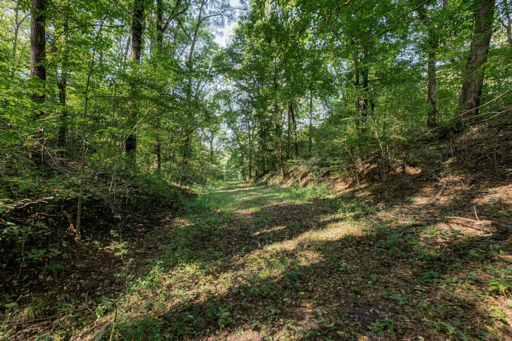 5051 Jones Valley Rd Williamsport, TN 38487