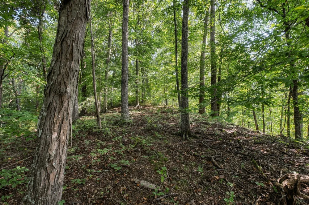 5051 Jones Valley Rd Williamsport, TN 38487