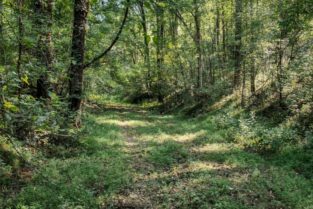 5051 Jones Valley Rd Williamsport, TN 38487