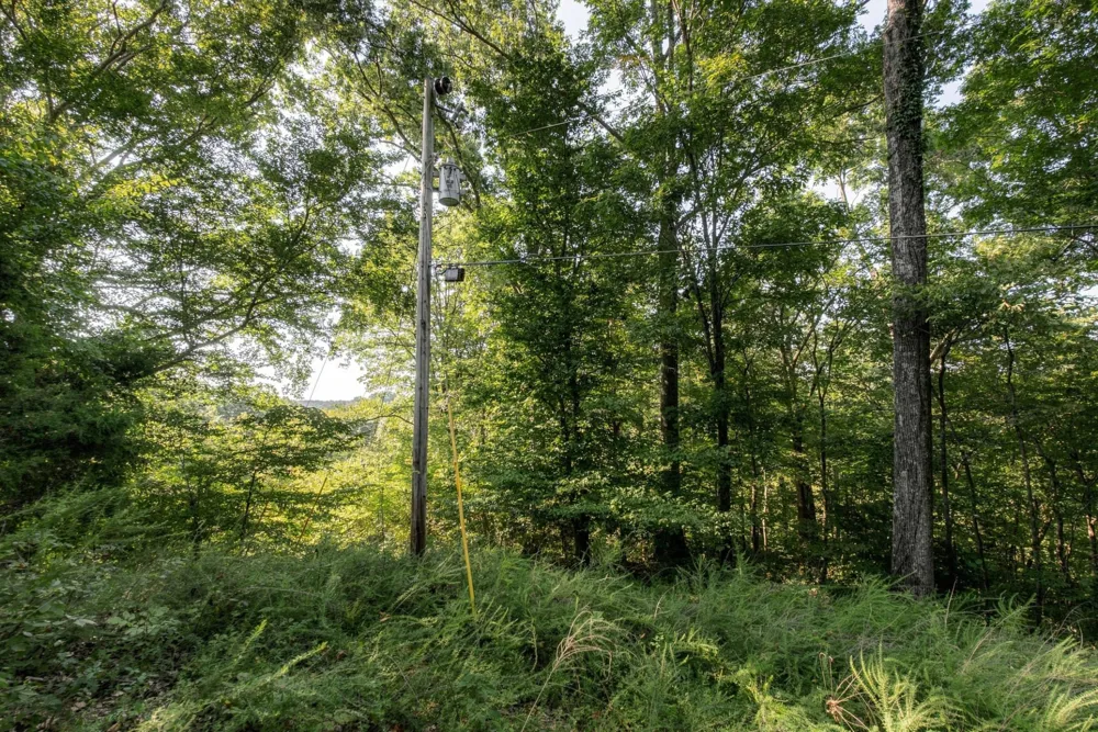 5051 Jones Valley Rd Williamsport, TN 38487