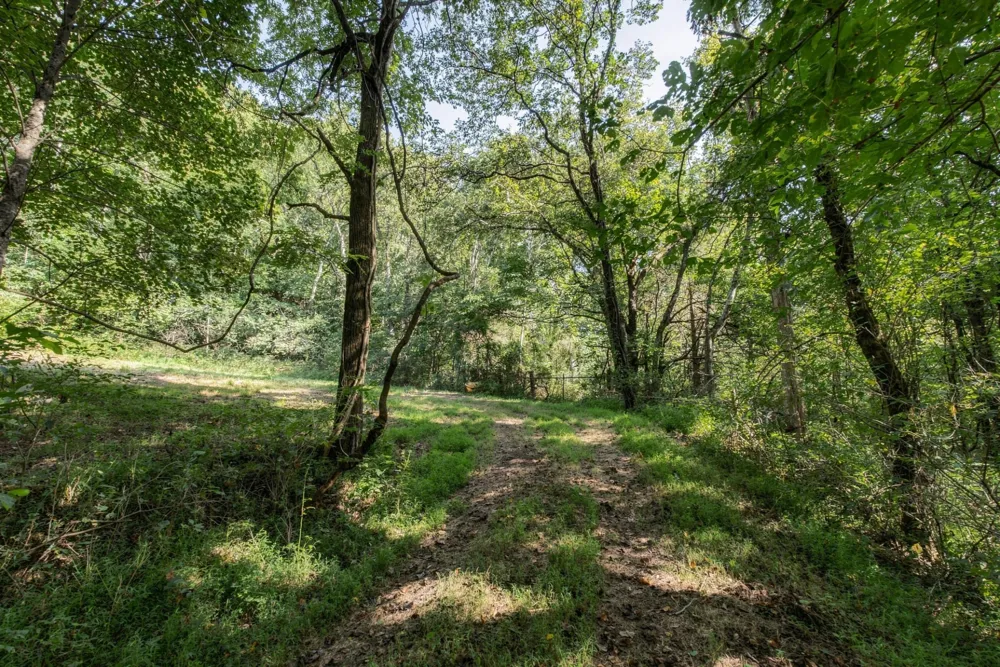 5051 Jones Valley Rd Williamsport, TN 38487