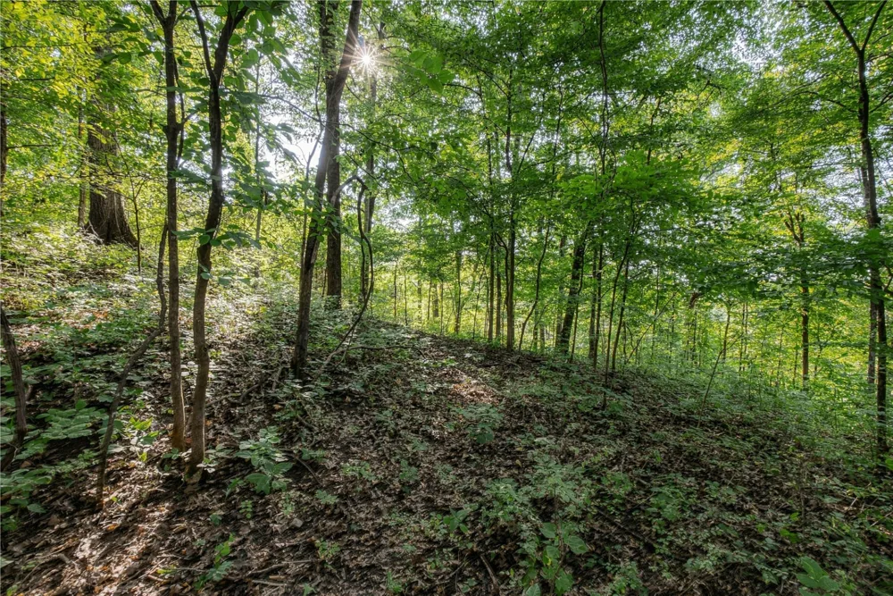 5051 Jones Valley Rd Williamsport, TN 38487
