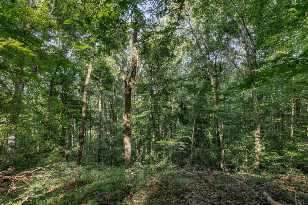 5051 Jones Valley Rd Williamsport, TN 38487